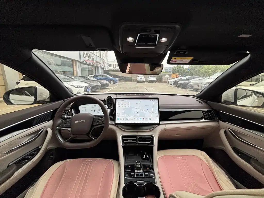 BYD PLUS New Energy — миниатюра 12