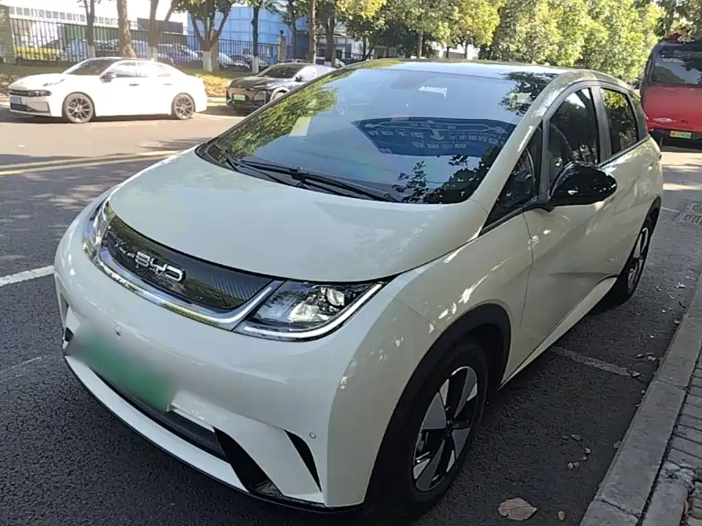 BYD Dolphin — миниатюра 2