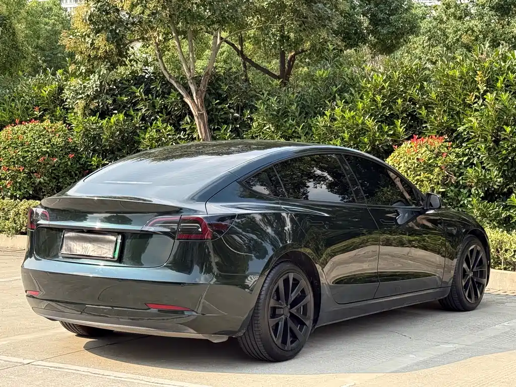 Tesla Model 3 — миниатюра 5