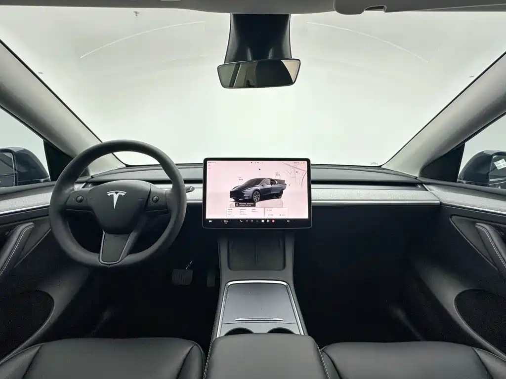 Tesla Model Y — миниатюра 20