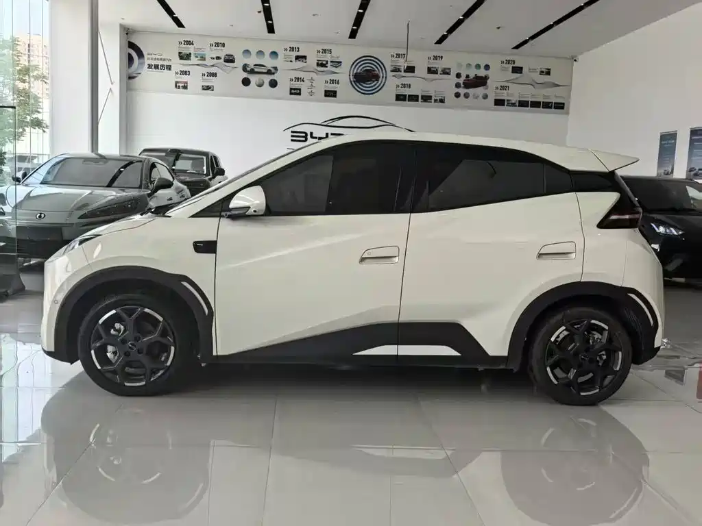BYD Seagull 2025 Smart Drive 305km Freedom