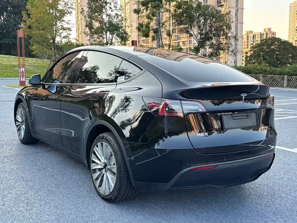 Tesla Model Y — миниатюра 10