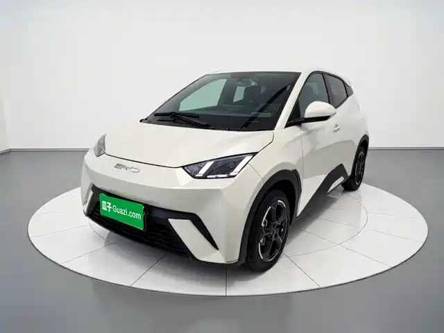 2024 BYD Seagull