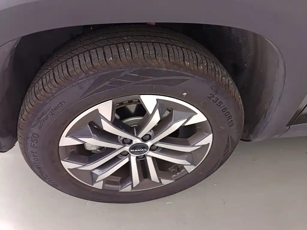 Haval Big Dog — миниатюра 23