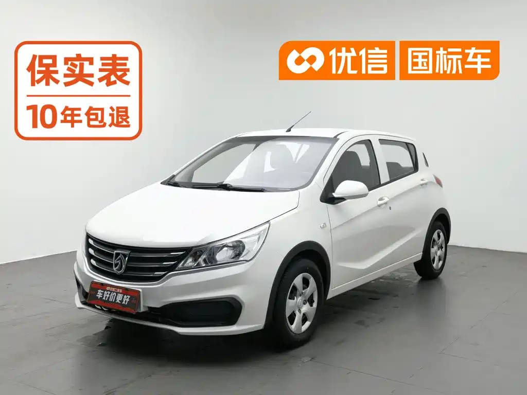 Baojun 310