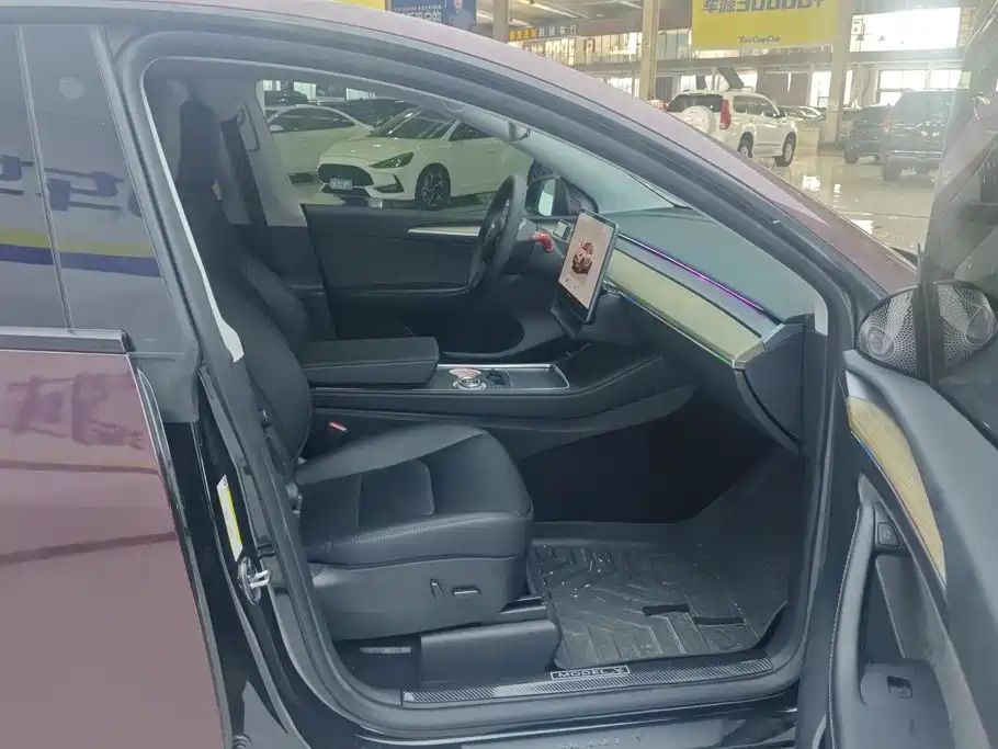 Tesla Model Y — миниатюра 8