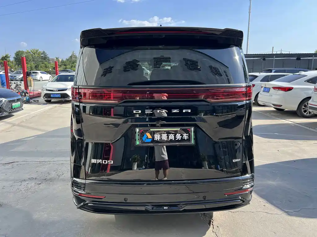 Denza Denza D9 — миниатюра 12