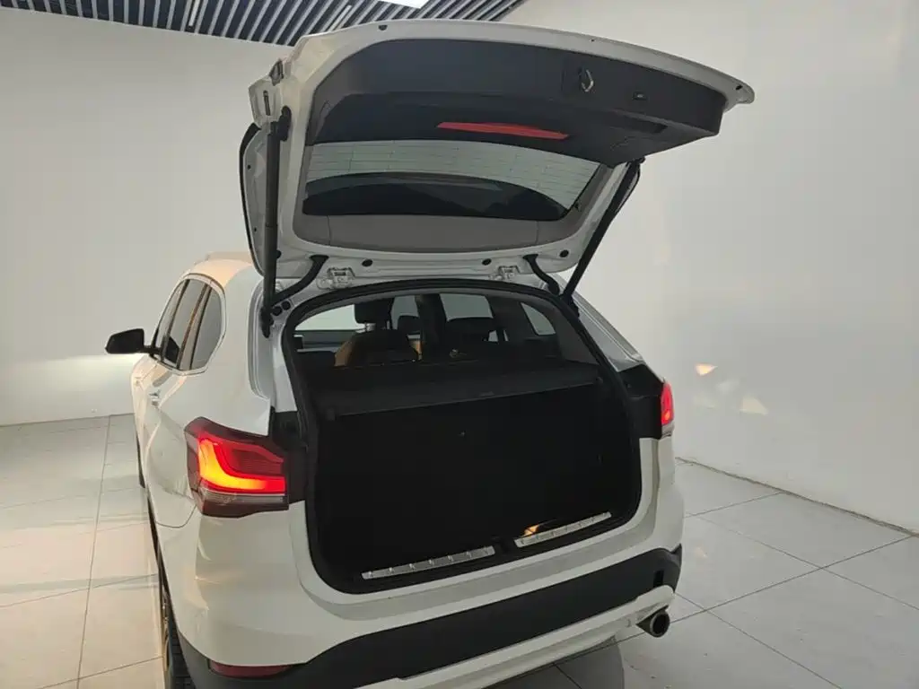 BMW X1 — миниатюра 19