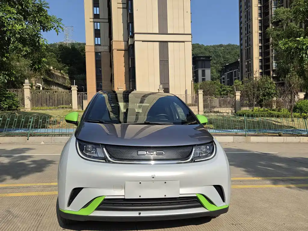 BYD Dolphin — миниатюра 2