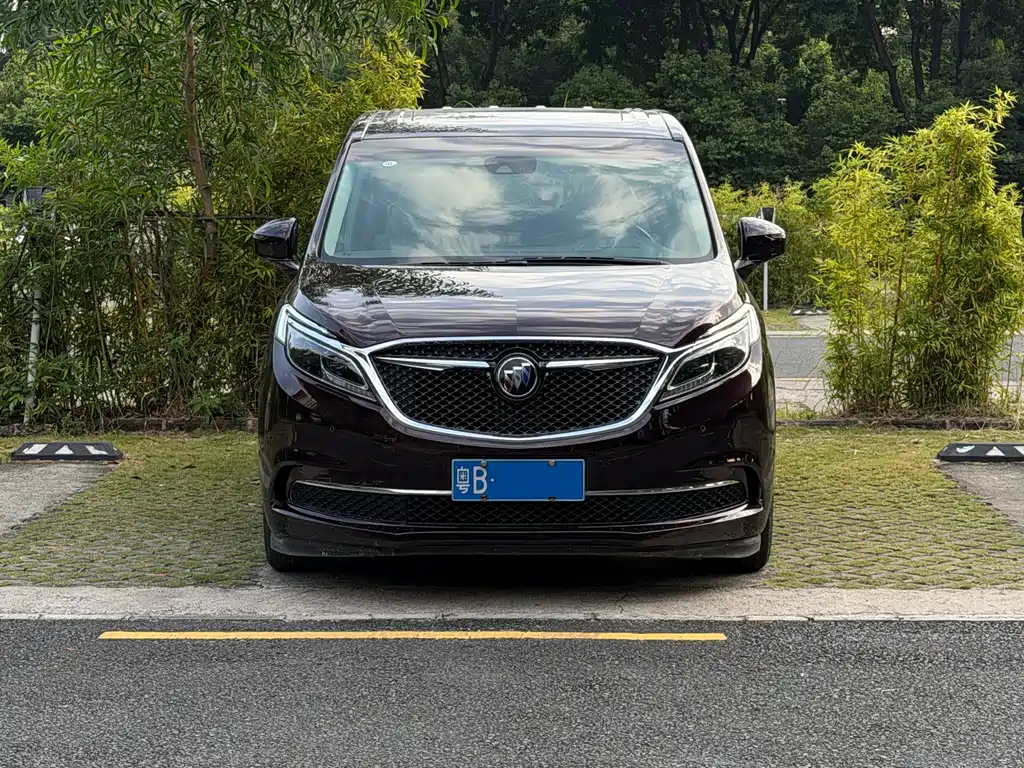 Buick GL8 — миниатюра 3