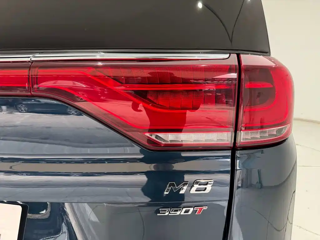 GAC Motor Trumpchi M8 — миниатюра 10