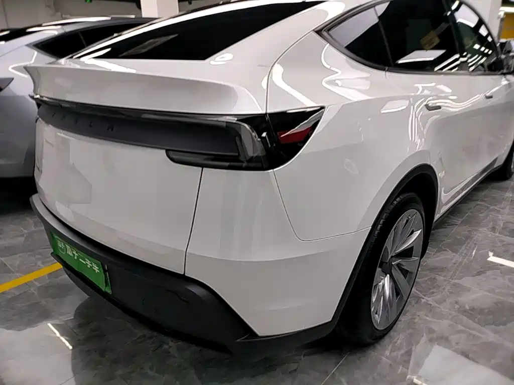 Tesla Model Y — миниатюра 8