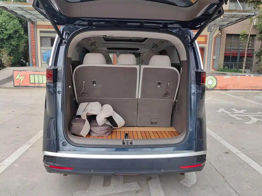 Denza Denza D9 — миниатюра 18