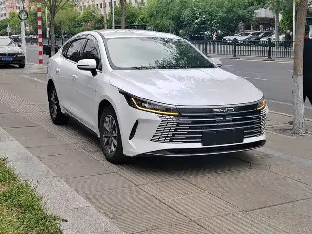 2025 BYD Destroyer