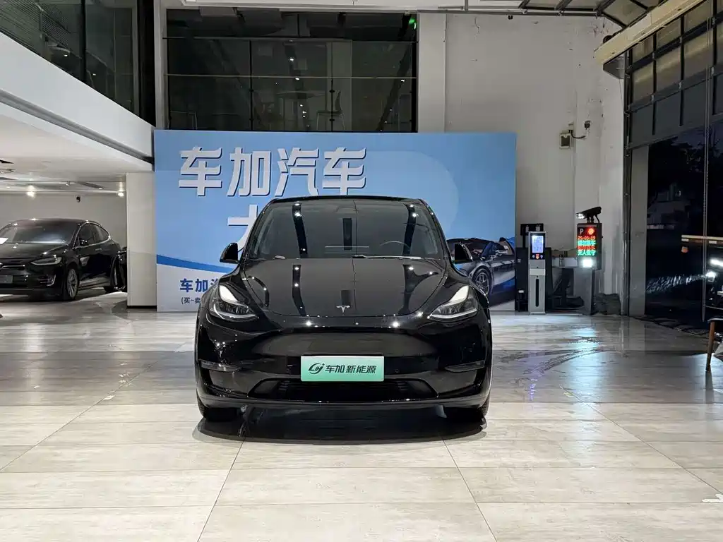 Tesla Model Y — миниатюра 2