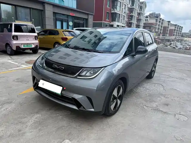 2023 BYD Dolphin