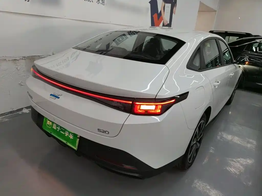 Oshan Чан Ын Ошань 520 — миниатюра 7