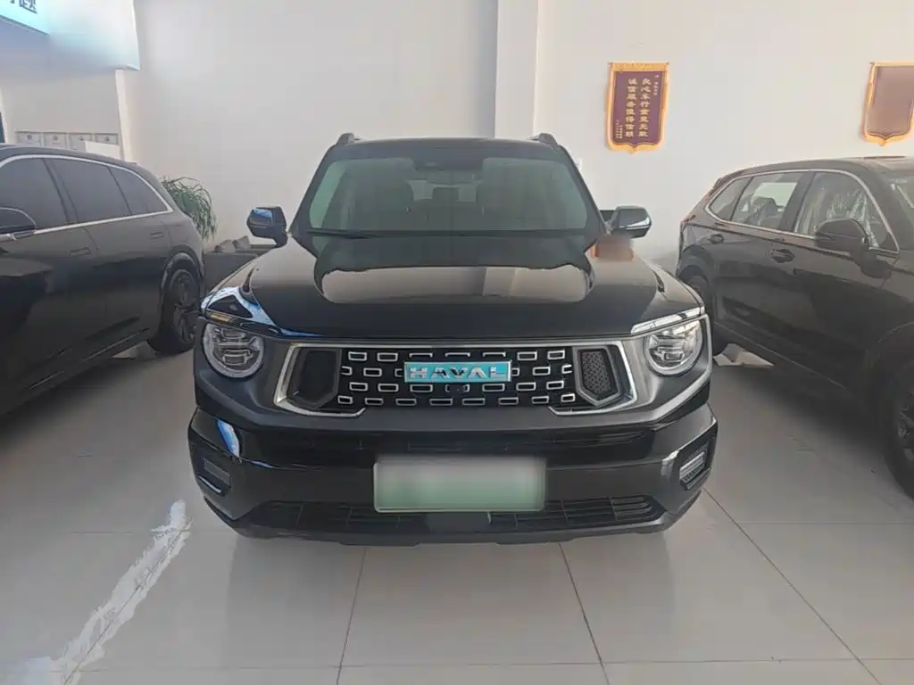 Haval Big Dog PLUS New Energy — миниатюра 3