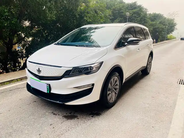 ruilan-automobile maple-leaf-80v-pro