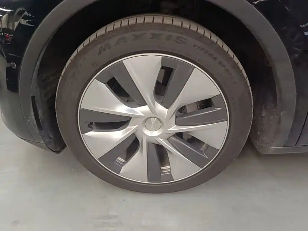 Tesla Model Y — миниатюра 23