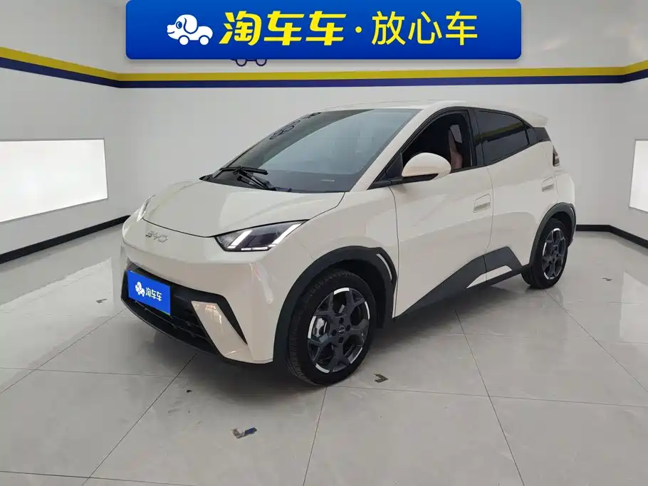 BYD Seagull