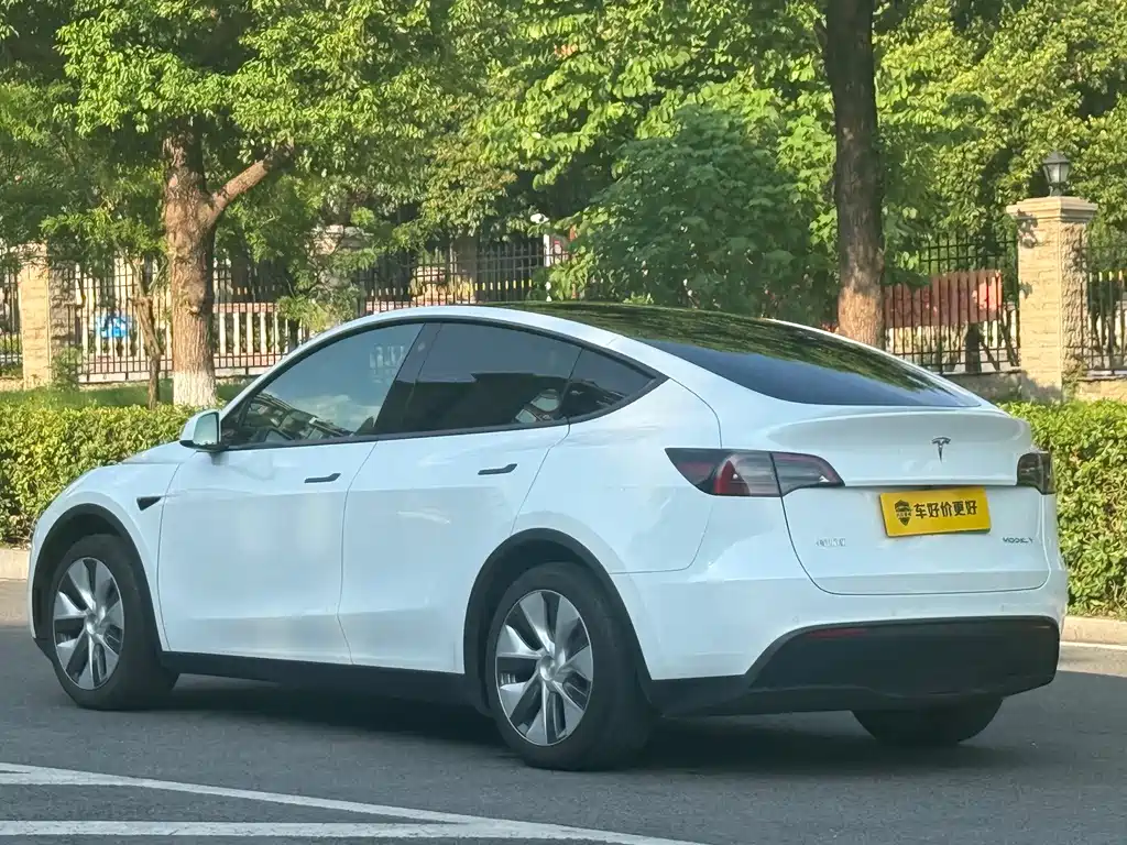 Tesla Model Y — миниатюра 10
