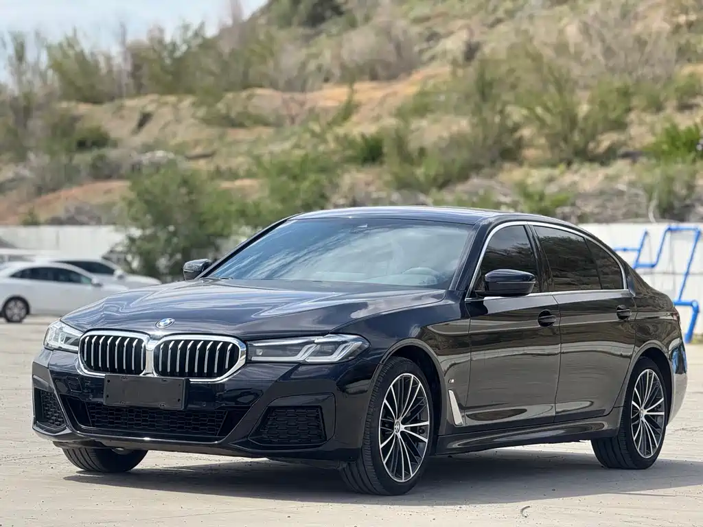 BMW 5 Series 5 2021 530Li Lead M Sport