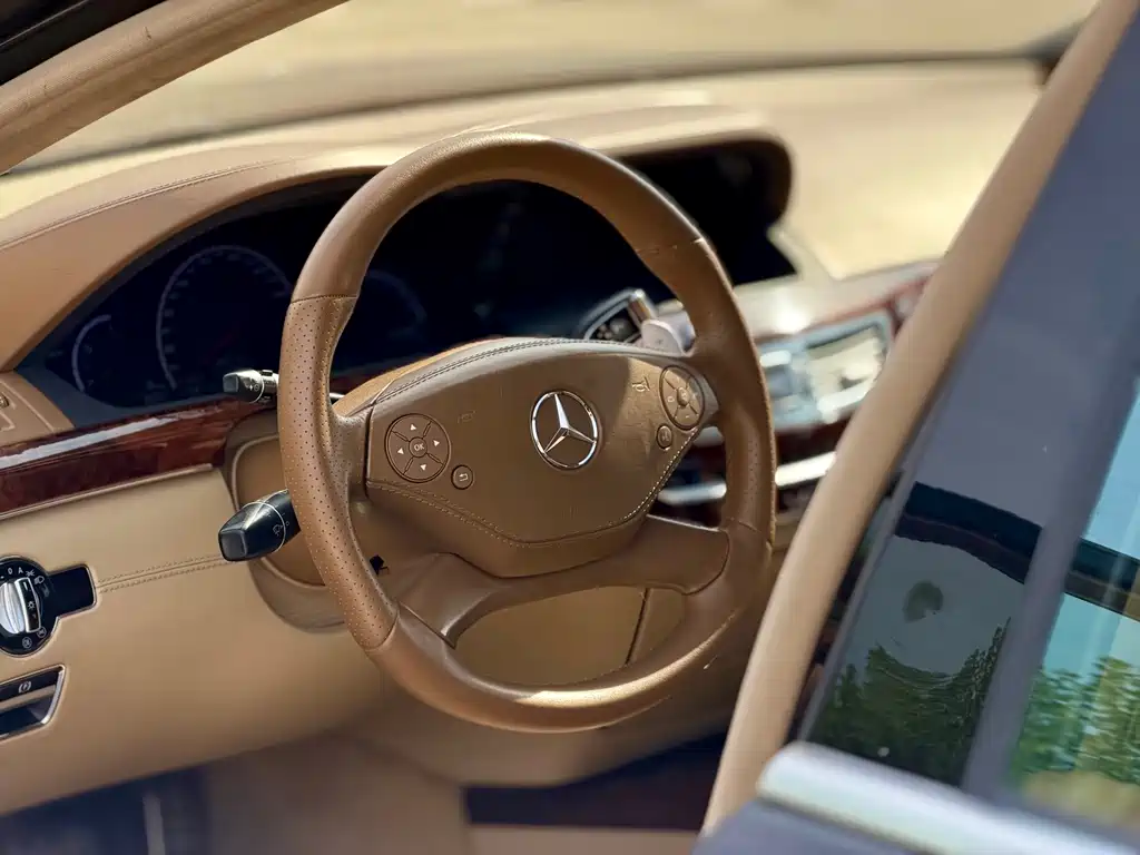 Mercedes-Benz S-Class A MG S AMG 2010 AMG S 65