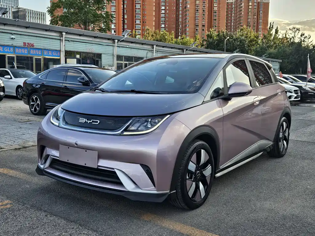 BYD Dolphin