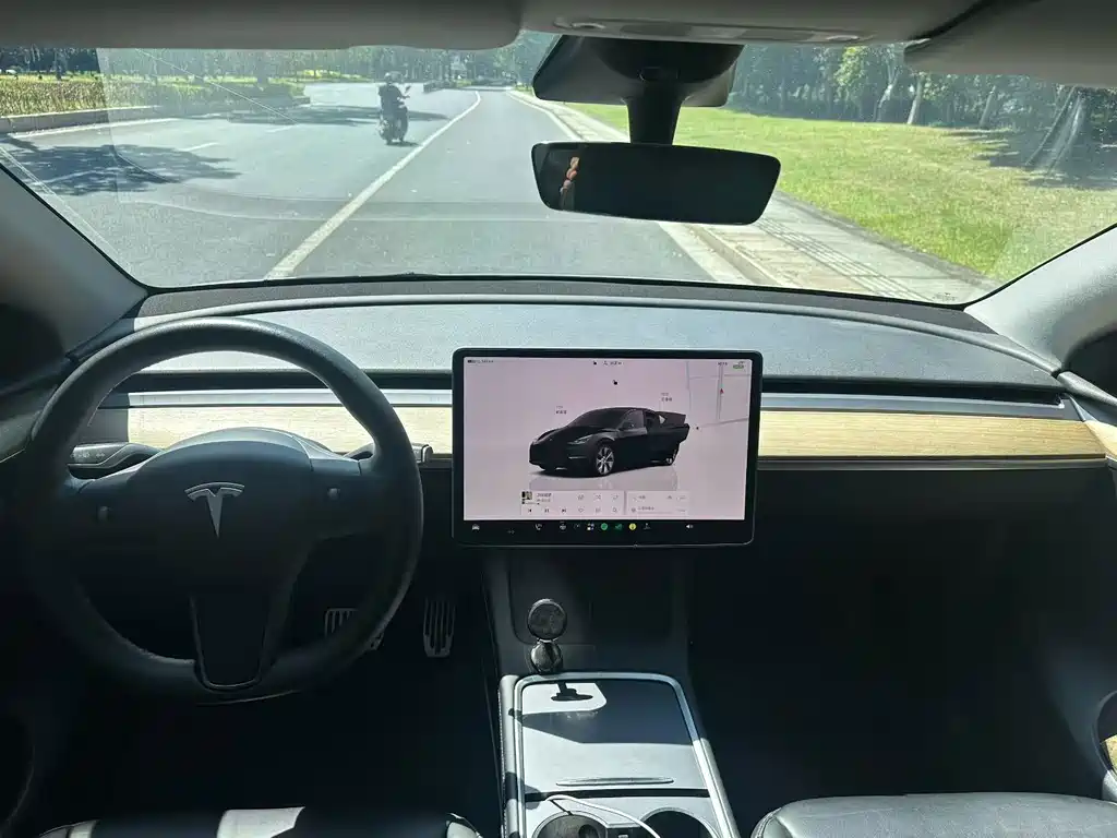 Tesla Model Y — миниатюра 8