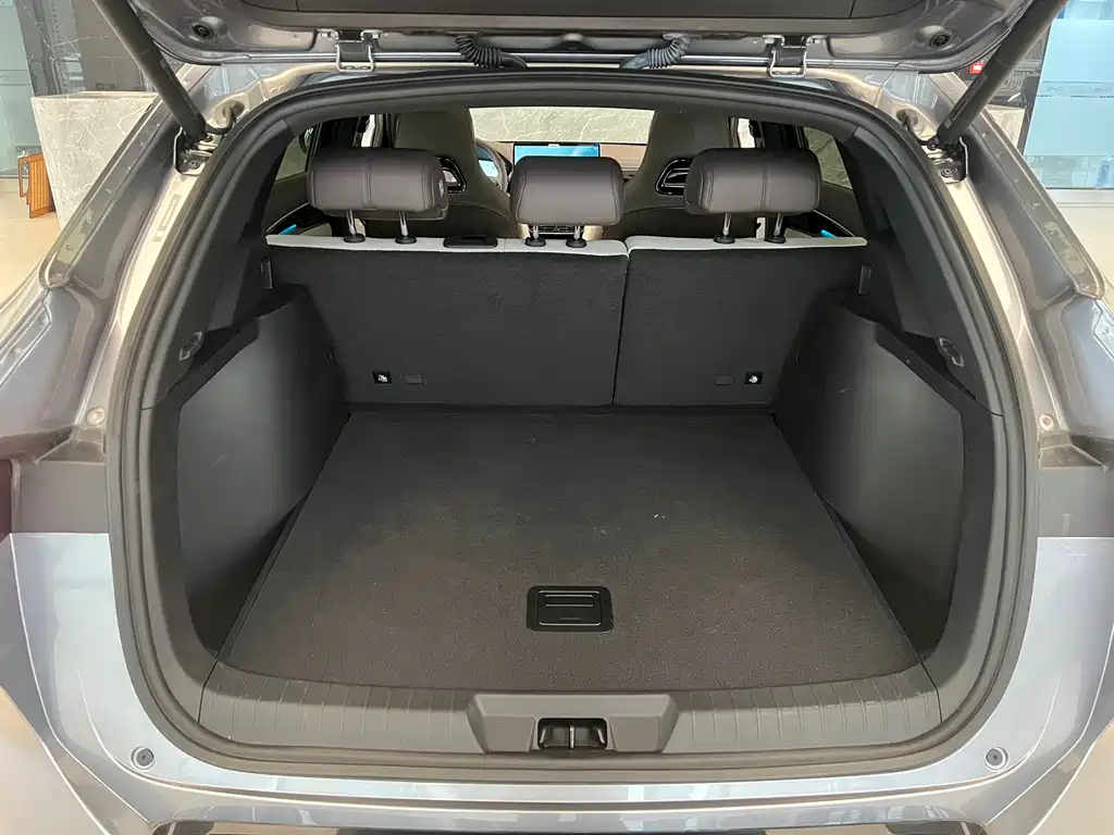 BYD SONGJIANG NEW ENERGY