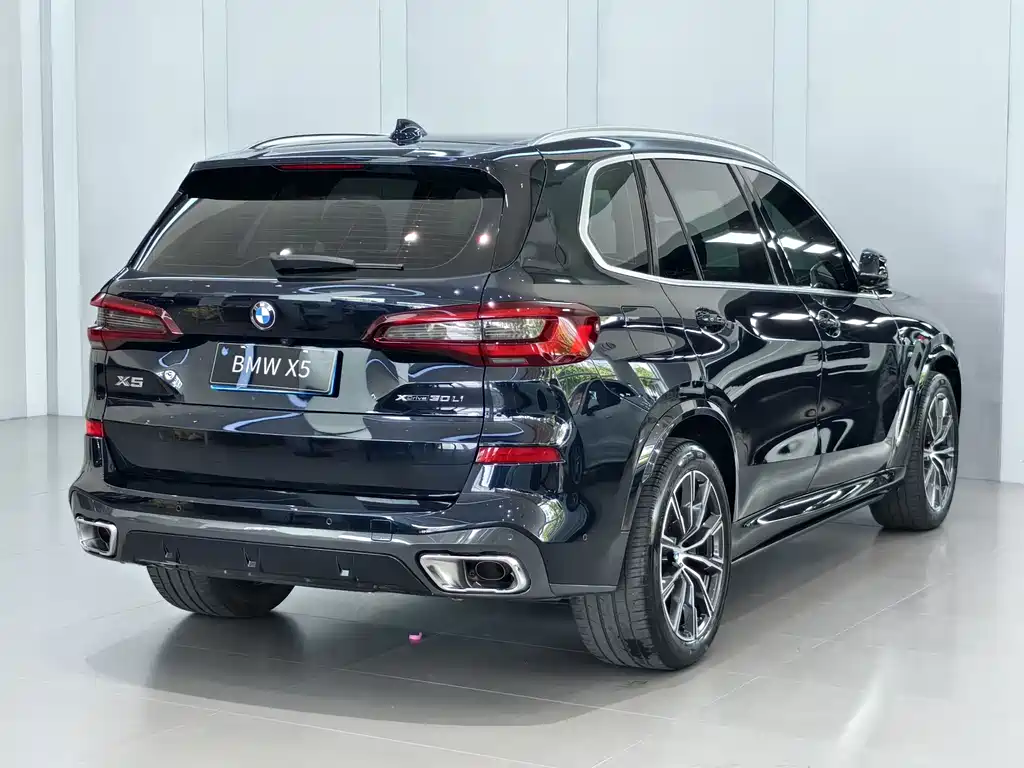 BMW X5 2022 xDrive 30Li Premium M Sport
