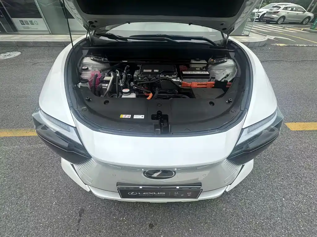 Lexus RZ — миниатюра 3