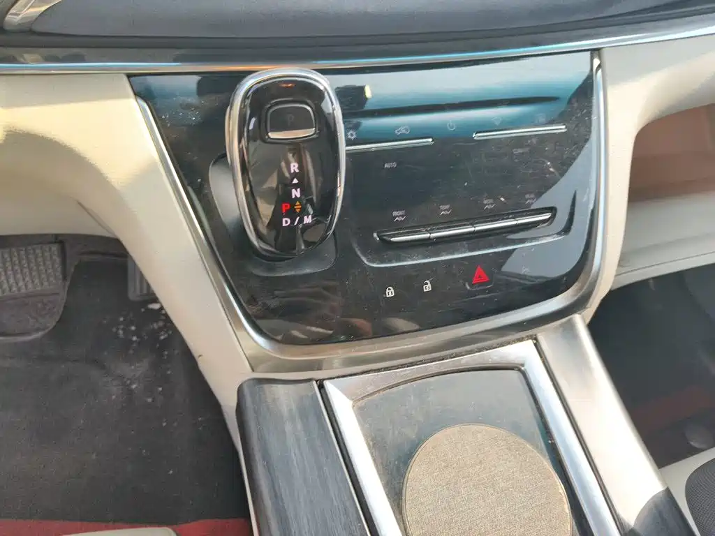 Buick GL8 — миниатюра 10