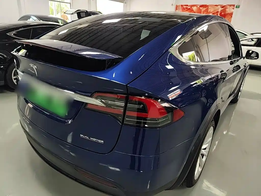 Tesla Model X 2019 Performance