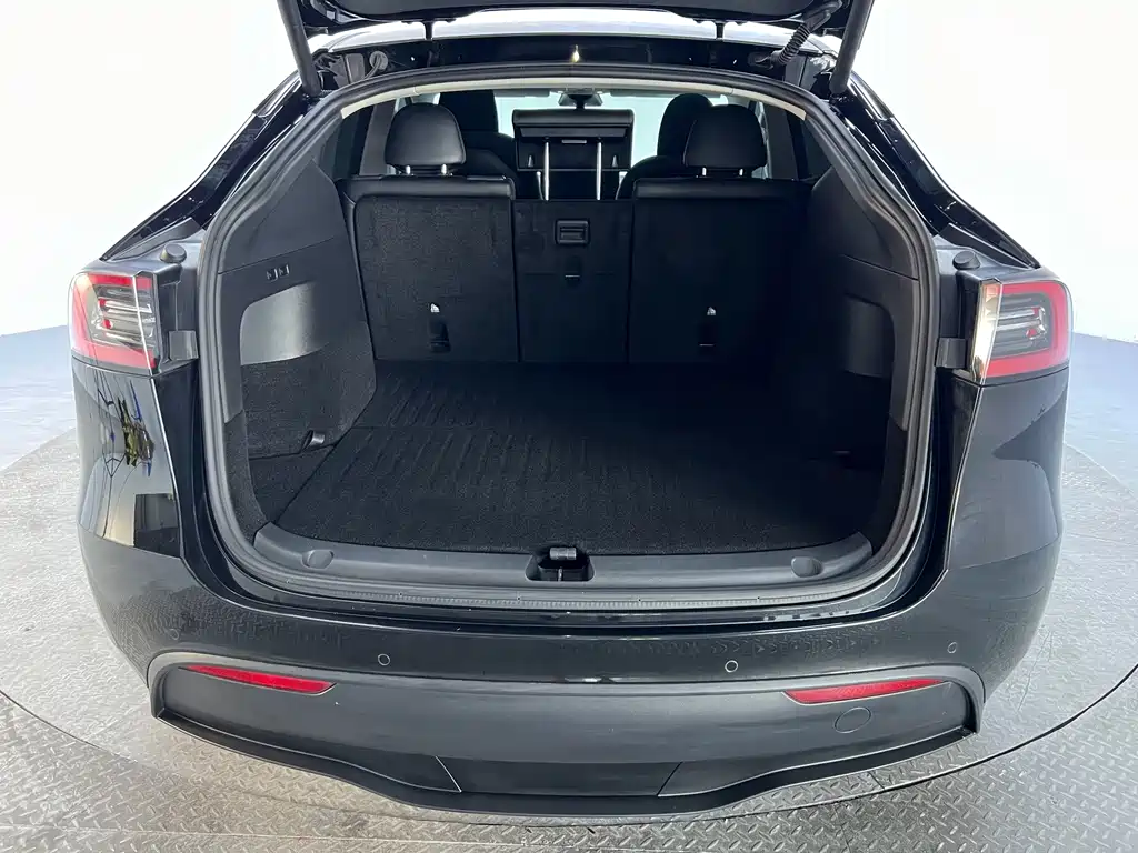 Tesla Model Y — миниатюра 18