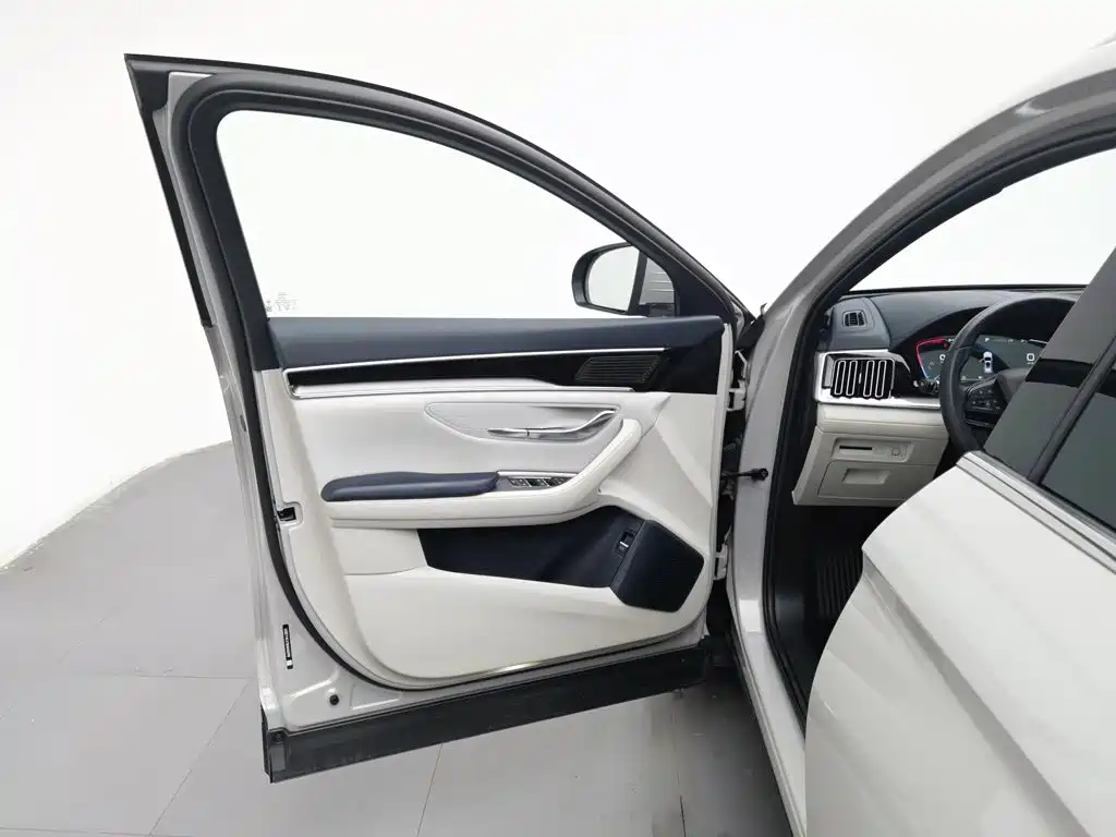 BYD PLUS New Energy — миниатюра 8