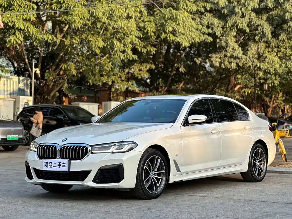 BMW 5 SERIES