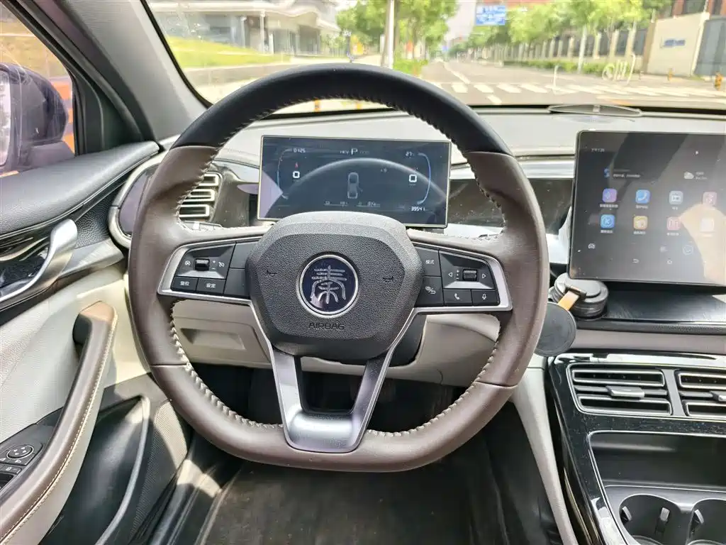 BYD Qin Plus PLUS 2024 DM-i 55KM Lead