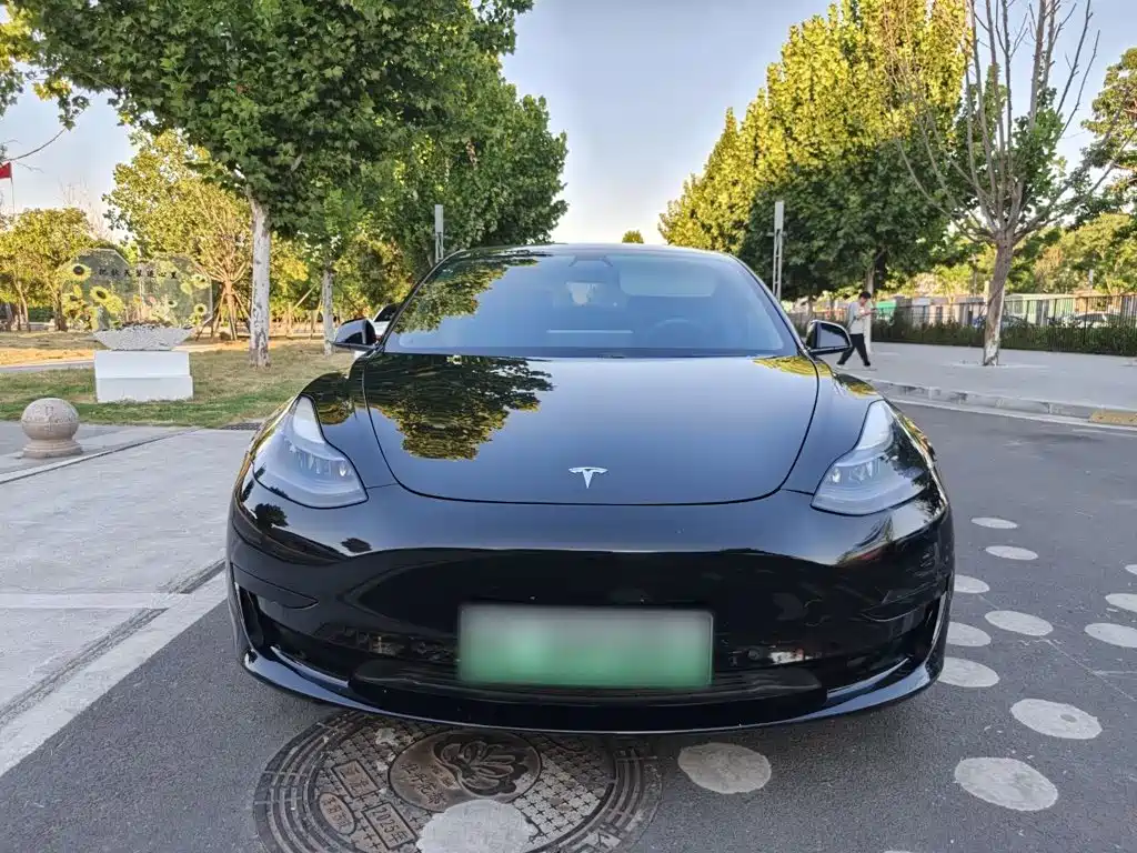 Tesla Model 3 — миниатюра 5