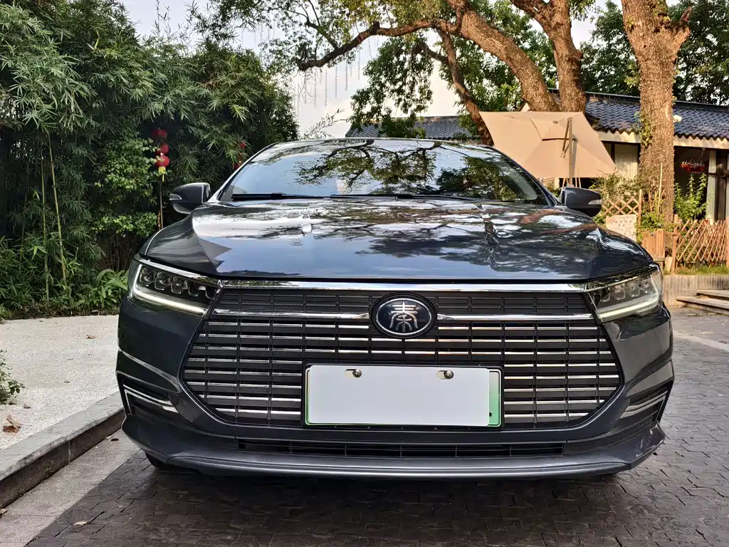BYD Qin NEV 2019 Luxury