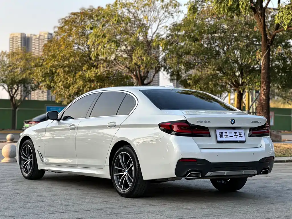 BMW 5 SERIES