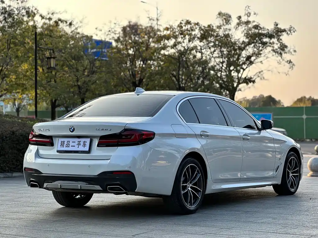 BMW 5 SERIES