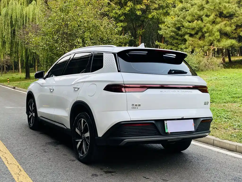 BYD Pro New Energy — миниатюра 16