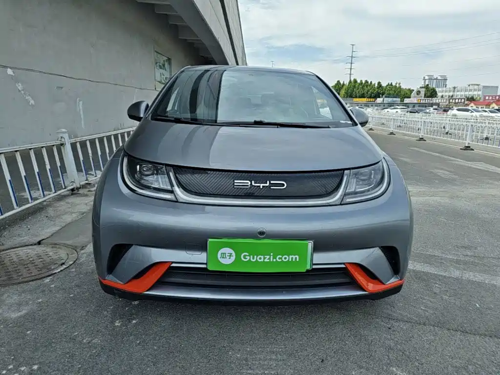BYD Dolphin 2021 405km Freedom