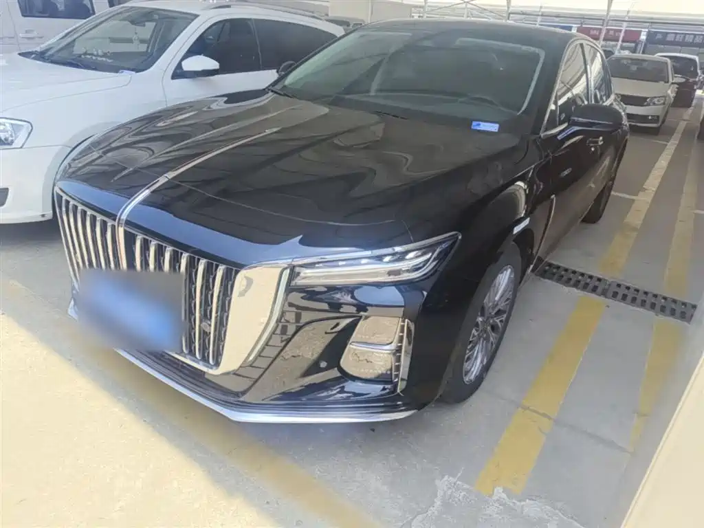 Hongqi Hongqi H5 2024