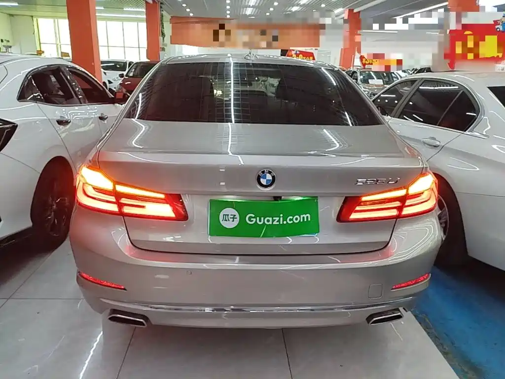 BMW 5 Series 5 2020 525Li Luxury