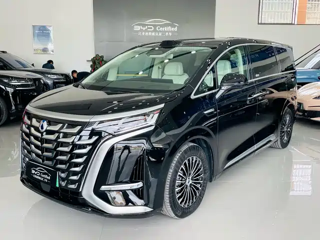 2025 Denza D9