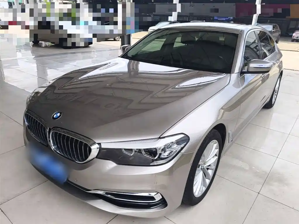 BMW 5 Series 5 2019 525Li Luxury