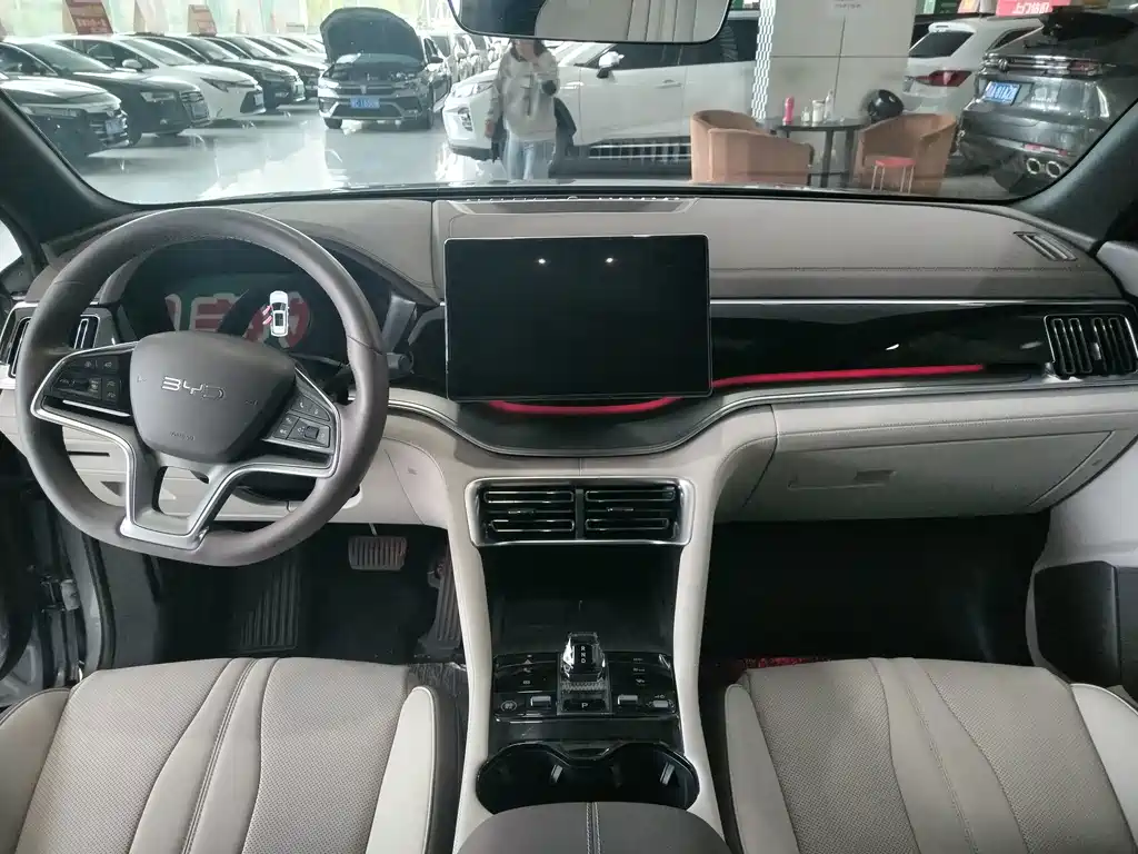 BYD PLUS New Energy — миниатюра 4